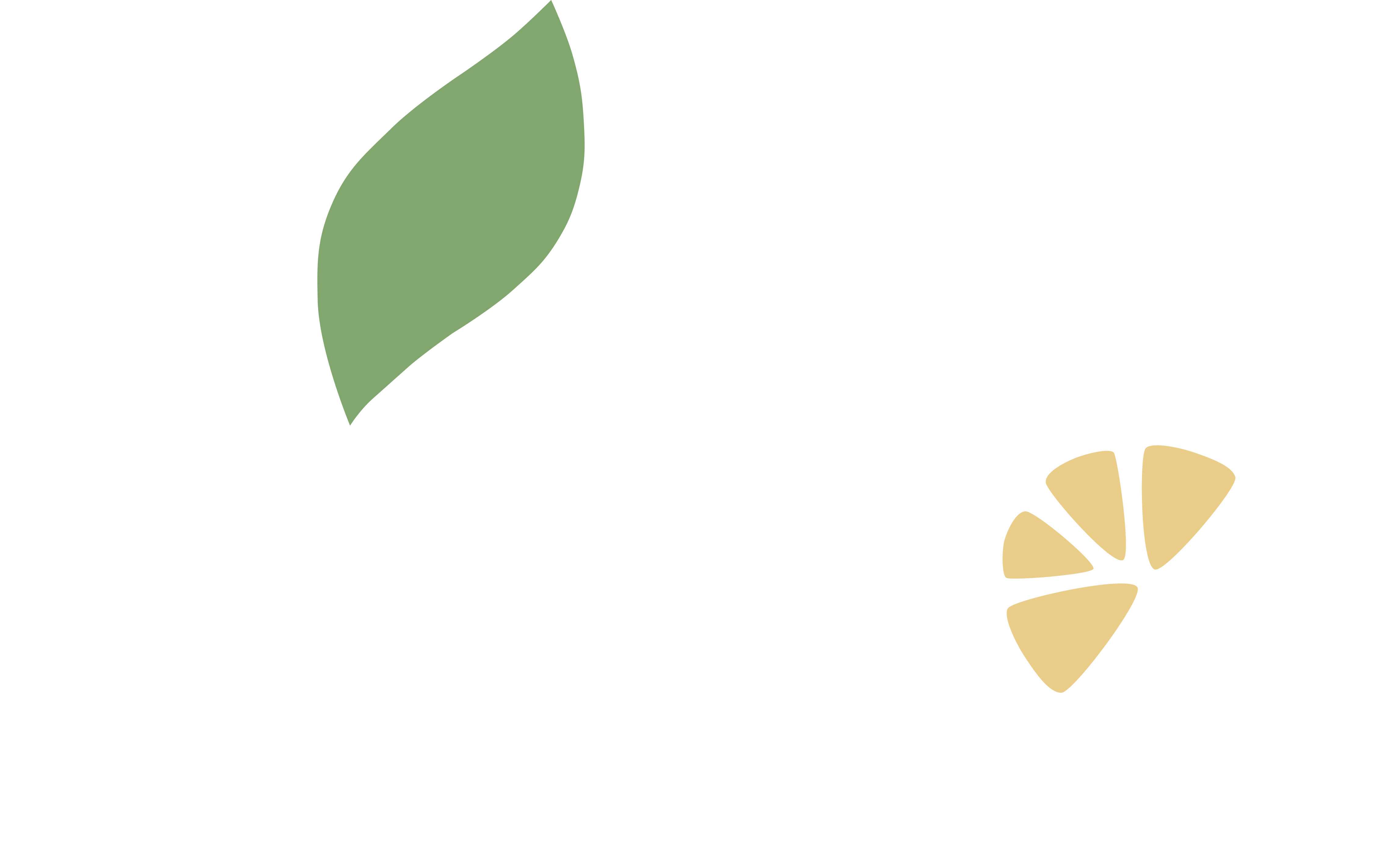 Ripe logo